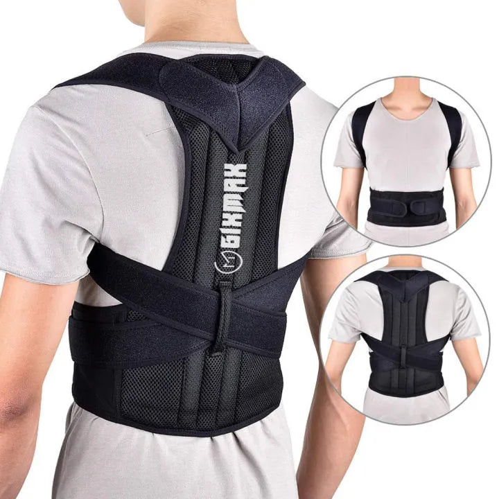 Back & Posture Support